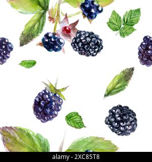 Schönes brombeer- und Blattdesign auf weißem Hintergrund, perfekt für künstlerische und dekorative Projekte Stockfoto