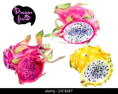 Lebendige handgezeichnete Drachenfrucht-Illustrationen - rote, gelbe und geschnittene Sorten Stockfoto