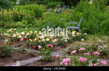 München, Deutschland. Juni 2024. Verlassene Stühle warten im Rosengarten auf Besucher. Es wird auch erwartet, dass es in den kommenden Tagen regnerisch und bewölkt sein wird. Quelle: Stefan Puchner/dpa/Alamy Live News Stockfoto