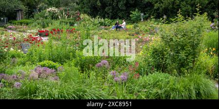 München, Deutschland. Juni 2024. Auch ohne Sonne genießen Lilliz und Olivier die Pracht der Blumen im Rosengarten. Auch die kommenden Tage werden voraussichtlich regnerisch und bewölkt sein. Quelle: Stefan Puchner/dpa/Alamy Live News Stockfoto