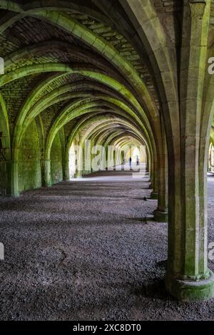 Das Cellarium und seine wunderschönen Bögen der Fountains Abbey, New Ripon in North Yorkshire, England, Großbritannien. Wird oft als Cloisters verwechselt. Stockfoto