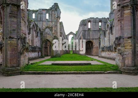 Das Schiff der Fountains Abbey, Ripon, North Yorkshire, Großbritannien. Stockfoto