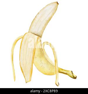 Bananenaquarell. Handgezogene, geschälte tropische Früchte. Clipart isoliert auf weißem Hintergrund realistische exotische Pflanze. Ideal für die Gestaltung von Menüs, Preis Stockfoto