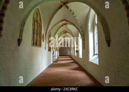 Kreuzgang Ratzeburger Dom der Kreuzgang vom Ratzeburger Dom, Ratzeburg, Schleswig-Holstein, Deutschland Kreuzgang des Ratzeburger Doms, Ratzeburg Stockfoto