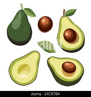 Satz frischer grüner Avocado ohne Samen, ganz oder halb geschnitten, separat und getrennt. Isoliert auf weißem Hintergrund. Seitenansicht. Vektor-Lebensmittel-Illustration in flach Stock Vektor