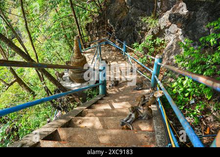 Steile Treppen, die eine Kalksteinkarstklippe hinaufsteigen, durch den Regenwald zur Bergpagode des Wat Tham Suea, auch bekannt als der Tiger Cave Temple of Kr Stockfoto