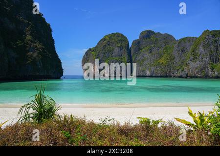 Maya Bay, ein fantastischer Strand mit weißem Sand und türkisfarbenem Wasser, umgeben von Kalksteinklippen auf der Insel Koh Phi Phi Leh, Provinz Krabi, Thailand. Stockfoto