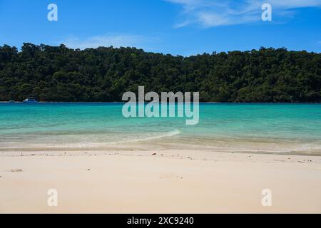 Wunderschöner Strand mit türkisfarbenem, transparentem Wasser auf der Insel Koh Rok (Ko Rok Noi) im Mu Ko Lanta Nationalpark in der Andamanensee, Krabi Provinz, Thai Stockfoto