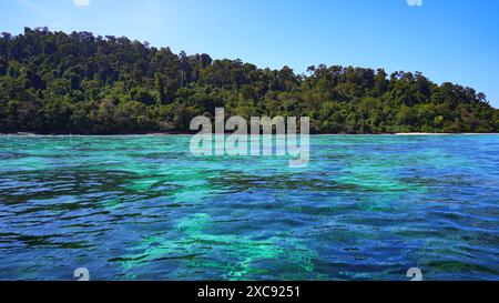 Dschungel der Insel Koh Rok Noi über dem transparenten türkisfarbenen Wasser der Andamanensee im Mu Ko Lanta Nationalpark, Provinz Krabi, Thailand Stockfoto