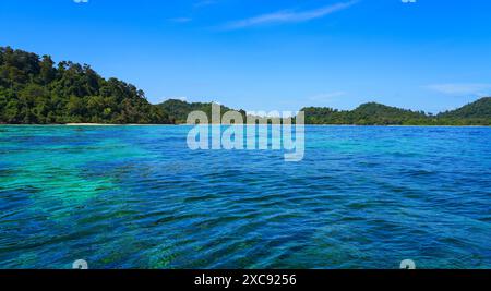 Dschungel der Insel Koh Rok Noi über dem transparenten türkisfarbenen Wasser der Andamanensee im Mu Ko Lanta Nationalpark, Provinz Krabi, Thailand Stockfoto