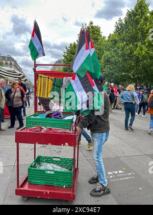 Paris, Frankreich, Menschen, Demonstration auf der Straße, Straßenverkäufer, Verkauf palästinensischer Flaggen (Place de la Republique), öffentliche Proteste, französische Politikabteilung Stockfoto