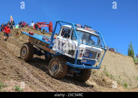 Beyendorf, Deutschland. Juni 2024. Das Team Heß fährt mit seiner IFA W50 im Gelände. Am 15.06.2024 finden die ersten Truck Trial 2024 Wettbewerbe im Magdeburg Adventure Park statt. Mehr als 20 Fahrzeuge verschiedener Fabrikmarken mit bis zu 1000 ps werden an den europäischen Truck Trial Championships teilnehmen. Die Teams kommen aus fünf EU-Ländern und werden am Wochenende um wichtige Punkte kämpfen. Quelle: Peter Gercke/dpa-Zentralbild/dpa/Alamy Live News Stockfoto