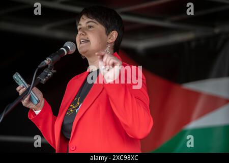 Glasgow, Großbritannien. Juni 2024. Jehan al-Azzawi, Mitbegründer von Educators for Peace, sprach am 15. Juni 2024 auf der Pro-Palestine-Kundgebung, die von der Stop the war (Scotland) Coalition in Glasgow (Schottland) organisiert wurde. Foto: Jeremy Sutton-Hibbert/ Alamy Live News Stockfoto