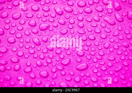 Nahaufnahme von Wassertröpfchen auf rosa Deckblatt Hintergrund. Wassertröpfchenkonzept. Stockfoto