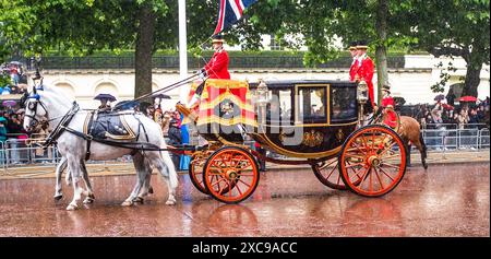 London Vereinigtes Königreich 15. Juni 2024 - Prinz George und Prinz Louis schauen aus ihrer Kutsche auf Menschenmassen, die dem sintflutartigen Regen in der Mall nach dem Trooping the Colour in London trotzen, als ihre Mutter die Prinzessin von Wales ihren ersten öffentlichen Auftritt seit ihrer Krebsdiagnose machte . : Credit Simon Dack / Alamy Live News Stockfoto