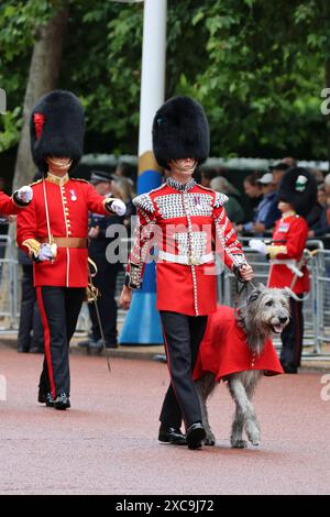 London, Großbritannien. Juni 20224. Das Militär nimmt an der Zeremonie „Trooping of the Colour“ für die Geburtstagsparade des Königs Teil, die heute in London stattfindet. Quelle: Ed Brown/Alamy Live News Stockfoto