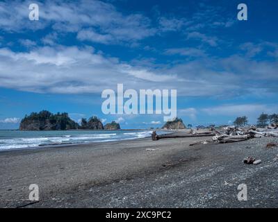 WA25353-00...WASHINGTON - Ein sonniger Tag am First Beach an der Pazifikküste in La Push. Stockfoto