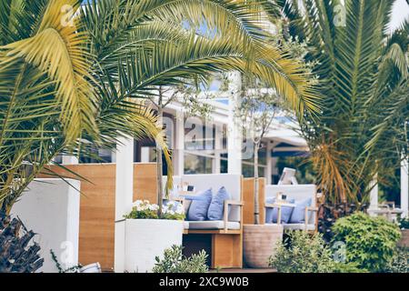 Selektiver Fokus auf Dattelpalmen im Vordergrund. Ein Restaurant mit weichen Sofas im Freien auf dem Hintergrund eines Glasgebäudes. Mit Platz zum Kopieren. Hochwertige Fotos Stockfoto