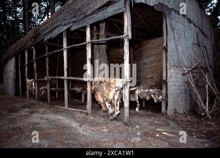 Jamestown, VA USA 9/1993. Jamestown war Englands erste erfolgreiche Siedlung in Virginia, die am 13. Mai 1607 an ihrem ausgewählten Ort am James River ankam, wo drei Schiffe, die Susan Constant, Godspeed und Discovery, von der Virginia Company of London gechartert, um ihre 104 Passagiere zu besiedeln (einer starb während der Reise) und eine Summe von 39 Soldaten, alle 143 waren Männer. Stockfoto