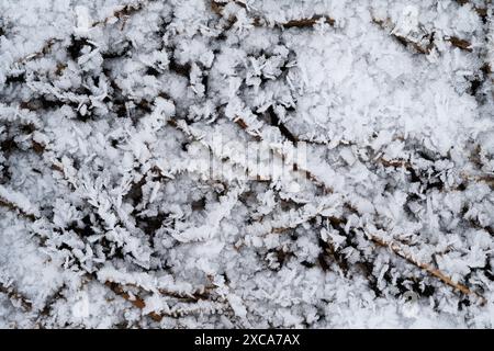 Eiskristalle auf dem Boden im Winter Stockfoto