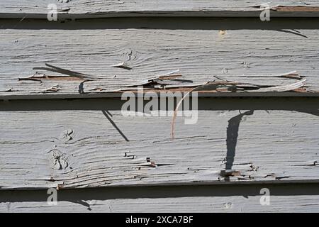 Alte Holzwand mit grauen Farbrissen gestrichen Stockfoto