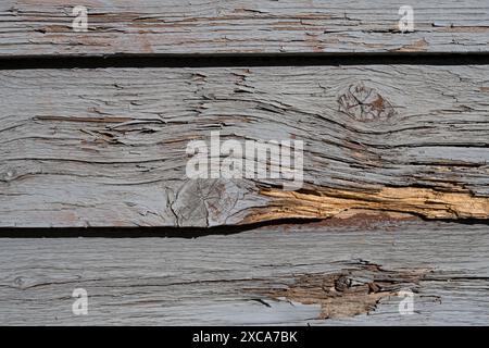Alte Holzwand mit grauen Farbrissen gestrichen Stockfoto