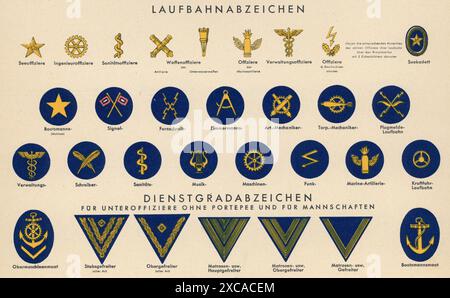 Ein Vintage-Poster aus dem 2. Weltkrieg mit den Uniformen der Kriegsmarine. Es enthält Angaben zu den Abzeichen und Abzeichen der Unteroffiziere ohne Schwertknoten und für das eingesetzte Personal, einschließlich der Schulterklappen, Revers und anderen Details. Stockfoto