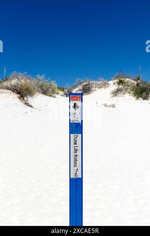 Wegweiser zum Dune Life Nature Trail im White Sands National Park, New Mexico, USA Stockfoto