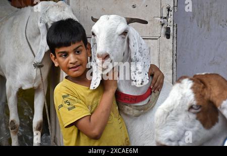 Mumbai, Indien. Juni 2024. Ein kleiner Junge steht mit einer Ziege auf einem Viehmarkt vor dem Eid-al-Adha-Festival. Muslime auf der ganzen Welt feiern Eid-al-Adha, auch bekannt als „Festival of Opfergabe“ am 17. Juni 2024. Es ehrt die Bereitschaft des Propheten Ibrahim, seinen Sohn Ismail als Gehorsam gegenüber Gottes Befehl zu opfern. Quelle: SOPA Images Limited/Alamy Live News Stockfoto