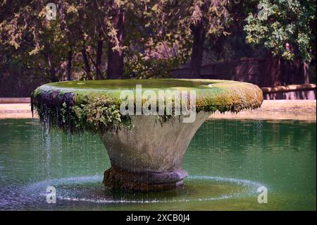 Ein moosbedeckter Brunnen in einem grünen Wasserbereich unter Bäumen in einer friedlichen Umgebung, italienischer Gouverneurspalast, Ruinen, italienische Kolonialsiedlung Stockfoto