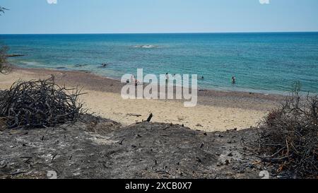 Strandszene mit Menschen im Meer, umgeben von verbrannter Vegetation am Rand, ein Kontrast zwischen Erholung und Zerstörung, Waldbrände, Sommer Stockfoto