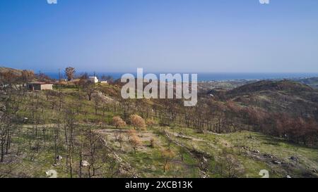 Drohnenbild, über Kiotari, Blick auf eine hügelige, verbrannte Landschaft mit dem Meer im Hintergrund an einem klaren Sommertag, Waldbrände, Sommer 2023, Wald Stockfoto