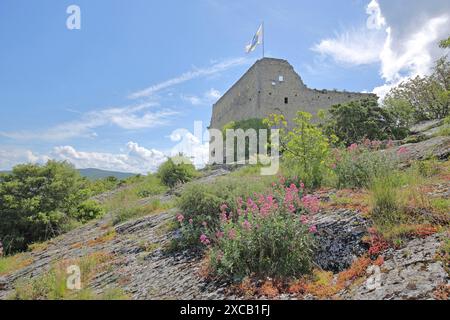 Schloss mit Fahne auf Felsen und rotem Baldrian, Vaison-la-Romaine, Vaucluse, Provence, Frankreich Stockfoto