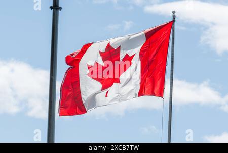 Vancouver CAN, Kanada / Kanada, Urlaubseindruecke und Sehenswuerdigkeiten, 15.06.2024. Kanadische Fahne / Flagge an Flaggenmast. CAN, Kanada / Kanada, Urlaubseindruecke und Sehenswuerdigkeiten, 14.06.2024. *** Vancouver CAN, Kanada Kanada, Urlaubseindrücke und Sehenswürdigkeiten, 15 06 2024 Kanadische Flagge auf Fahnenmast CAN, Kanada Kanada, Urlaubseindrücke und Sehenswürdigkeiten, 14 06 2024 Copyright: XEibner-Pressefoto/HeikexFeinerx EP HFR Stockfoto