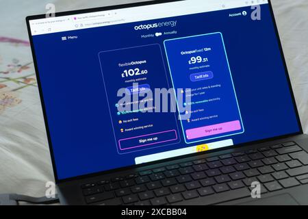 Webseite der Octopus Energy Group mit Tarifvergleich für Festgas und Elektrizität, UK. Konzept: Energiepreise, Preisobergrenze, erneuerbare Energien Stockfoto