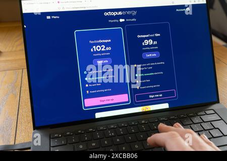Die Octopus Energy Group ist ein britischer Konzern für erneuerbare Energien, der zwischen flexiblen und festen Energiekontrakten auf einem Laptop-Bildschirm wählt Stockfoto