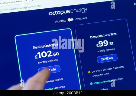 Person, die einen flexiblen monatlichen Energietarif auswählt. Octopus Energy Group ist ein britischer Konzern für erneuerbare Energien, der sich auf nachhaltige Energien spezialisiert hat Stockfoto