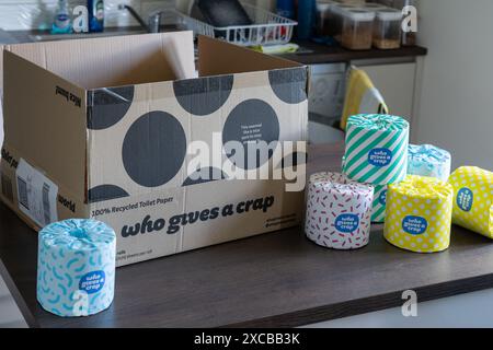 „Wer gibt einen Scheiß“-Lieferkarton mit dem Firmenlogo und eingewickelten Toilettenrollen daneben. Konzept: Nachhaltiges Toilettenpapier, umweltfreundlich, recycelt Stockfoto