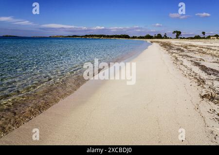 Dünenkomplex, es Caragol Beach. Hohes Umweltschutzgebiet, Santaniy, Mallorca. Balearen. Spanien. Stockfoto