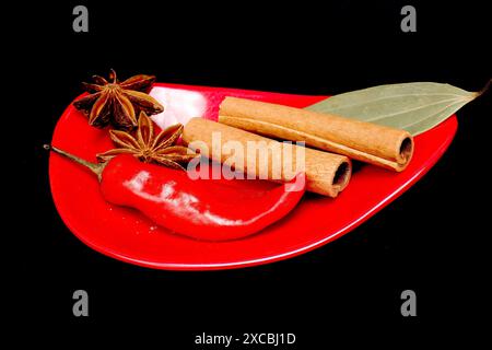 Seitenansicht von rotem Chili, zwei Stück Zimt, Sternanis, auch bekannt als Badian, mit Tejpatta, auch bekannt als Indian Bay Leaf, isoliert auf schwarzem Rücken Stockfoto