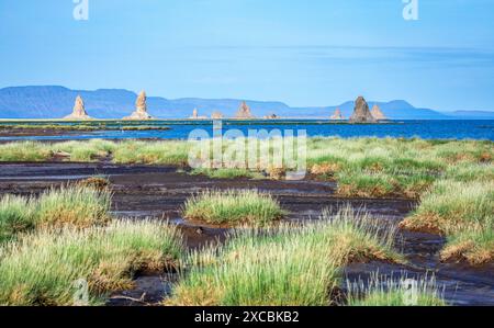 Kalkstein prähistorische Schornsteine geologische Felsformationen in der Mitte des Salzsees Abbe, Dikhil Region, Dschibuti Stockfoto