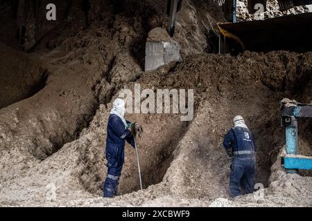 12. Juni 2024, Migori, Kenia: Männer werden bei der staatlichen South Nyanza Sugar Company (Sonysugar) gesehen, wie sie Bagasse, die Restfaser aus Zuckerrohr, schaufeln. Neben der Herstellung von Zucker produziert die Kenyaâ South Nyanza Sugar Company (Sonysugar) Zuckerrohrabfälle, Bagasse, Briketts und Dampf, der Energie erzeugt. (Credit Image: © James Wakibia/SOPA Images via ZUMA Press Wire) NUR REDAKTIONELLE VERWENDUNG! Nicht für kommerzielle ZWECKE! Stockfoto