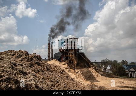 Allgemeine Ansicht eines Haufens Bagasse, der Restfaser aus Zuckerrohr, bei der staatseigenen South Nyanza Sugar Company (Sonysugar). Neben der Herstellung von Zucker produziert die kenianische South Nyanza Sugar Company (Sonysugar) Zuckerrohrabfälle, Bagasse, Briketts und Dampf, die Energie erzeugen. Stockfoto