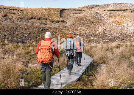 Eine Gruppe von Rucksacktouristen wandert auf der goldenen Wiese auf dem Tongariro Alpin Crossing Track an sonnigen Tagen auf der Nordinsel von Neuseeland Stockfoto