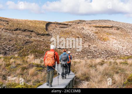 Eine Gruppe von Rucksacktouristen wandert auf der goldenen Wiese auf dem Tongariro Alpin Crossing Track an sonnigen Tagen auf der Nordinsel von Neuseeland Stockfoto