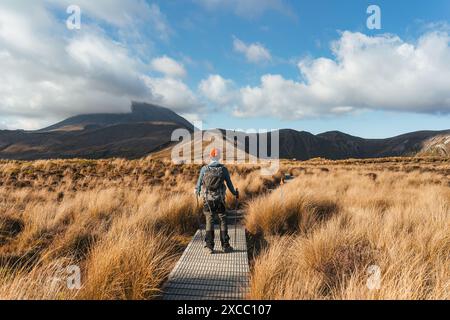 Asiatische Reisende wandern und genießen mit vulkanischen Bergen und goldenen Wiesen auf dem Tongariro Alpin Crossing Track an sonnigen Tagen auf der Nordinsel New Stockfoto