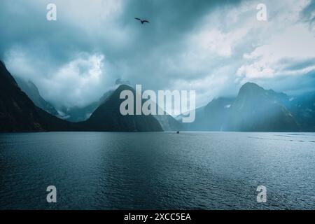 Geheimnisvolle Landschaft des Milford Sound mit Mitre Peak bei stimmungsvollem Wetter und Vogelfliegen im Fiordland National Park, Neuseeland Stockfoto