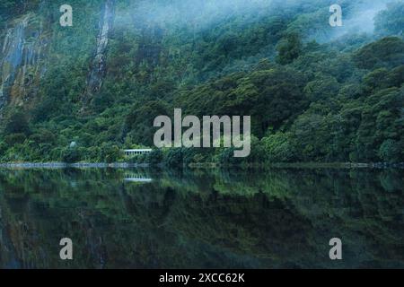 Landschaft aus tiefem Wald mit See und nebeliger Reflexion am Morgen im Nationalpark Stockfoto