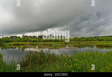 Einer der größeren Lochs von Morton Lochs im Tentsmuir National Nature Reserve in Fife unter den dunklen Wolken einer Regenfront, die sich einzieht. Stockfoto