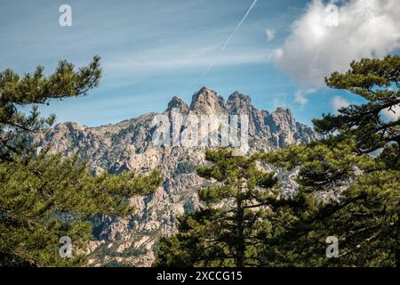 Die Aiguilles de Bavella, Nadelspitzen wie felsige Berggipfel, umgeben von Kiefernwäldern im Zentrum von Korsika Stockfoto